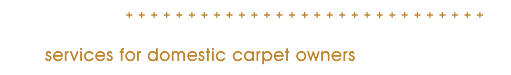 Services for domestic carpet owners